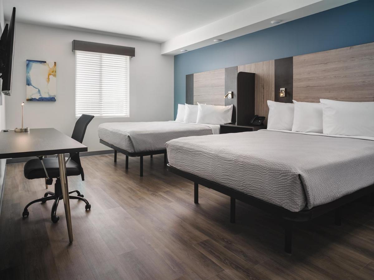 Stayapt Suites San Antonio-Randolph Live Oak ภายนอก รูปภาพ